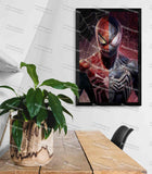 Spider / Symbiote Split